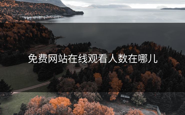 免费网站在线观看人数在哪儿