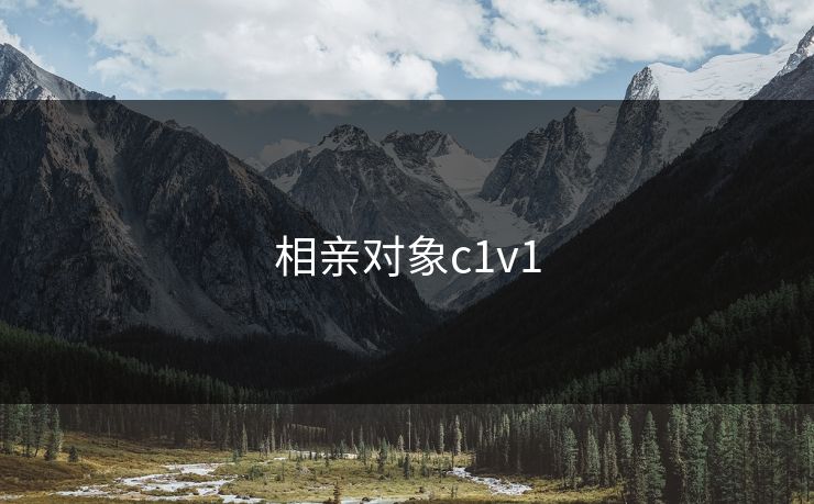 相亲对象c1v1