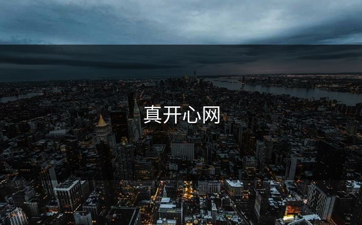 真开心网